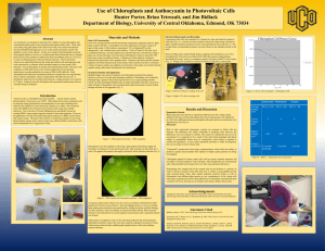 Use of Chloroplasts and Anthocyanin in Photovoltaic Cells