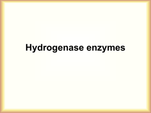 1. Iron hydrogenases