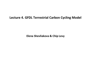 GFDL terrestrial carbon cycling model