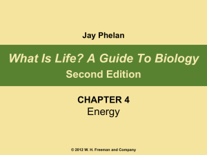 Honors Bio Phelan PPT\phelan2e_ch04_editable@QCS_notes