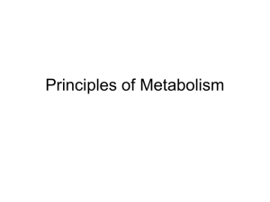 Principles of Metabolism