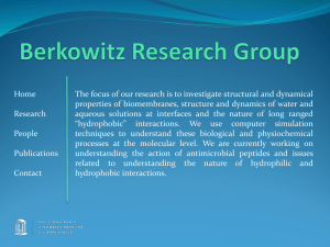 Berkowitz Research Group