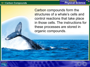 9.1 Carbon Compounds