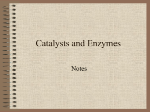 Catalysts and Enzymes
