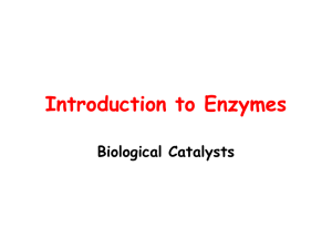 12Enzymes