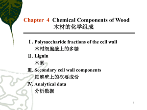 Chapter Four Chemical components of wood