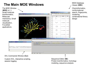 The Main MOE Windows: