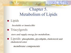 Metabolism of Lipids