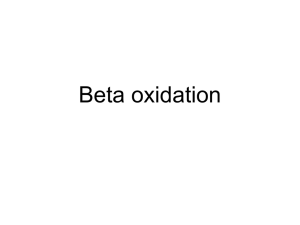Beta oxidation - IHMC Public Cmaps