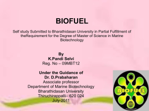 biofuel sources