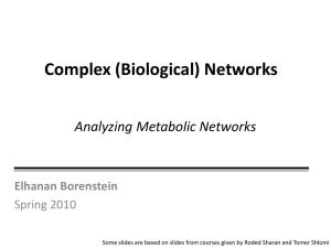 Metabolic Networks Analysis