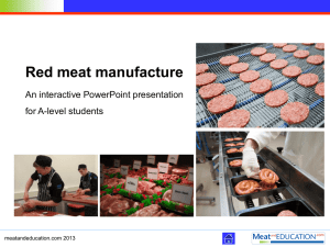 6.93 MB - Meat and Education