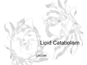 Lecture Slides for Fatty Acid Catabolism