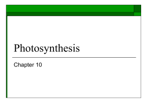 Photosynthesis - CARNES AP BIO