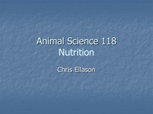 Agriculture 597 Advanced Animal Nutrition