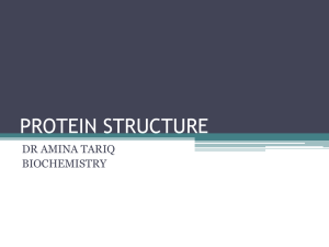 PROTEIN STRUCTURE