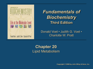 Fundamentals of Biochemistry 3/e