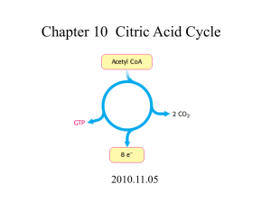 （丙酮酸脱氢酶复合体） 氧化成为acetyl-CoA