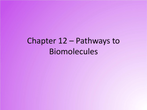 Chapter 12 - Pathways to Biomolecules