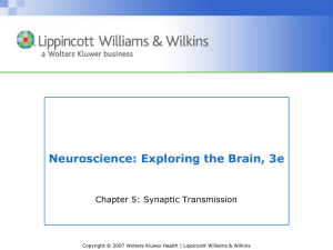 Chapter 05: Synaptic Transmission