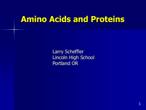 Amino Acids and Proteins - Portland Public Schools