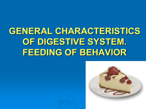GENERAL CHARACTERISTICS OF DIGESTIVE SYSTEM. FEEDING