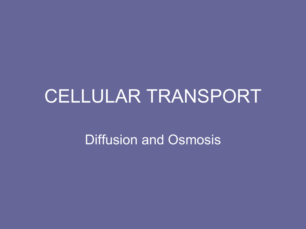 Diffusion and Osmosis PPT