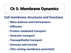 Ch 5: Membrane Dynamics
