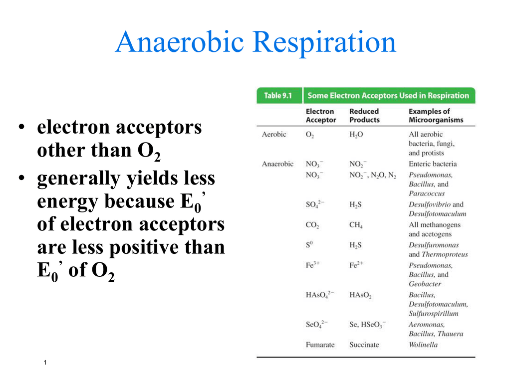 anaerobic-respiration