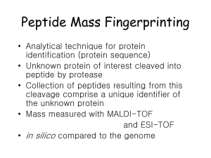 Peptide Mass Fingerprinting