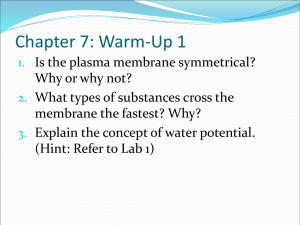 Chapter 7 - Cell membrane