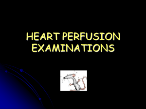 s4_heartperfusion