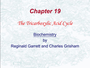 The Chemical Logic of TCA cycle