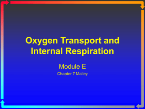 Module E Oxygen Transport and Internal - Macomb