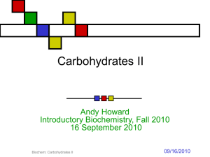 Enzyme Properties