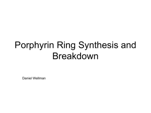 Porphyrin Ring Synthesis and Breakdown