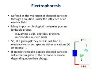 Electrophoresis HCC 2013 BMS2 intro