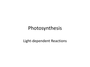 Photosynthesis part I PPT