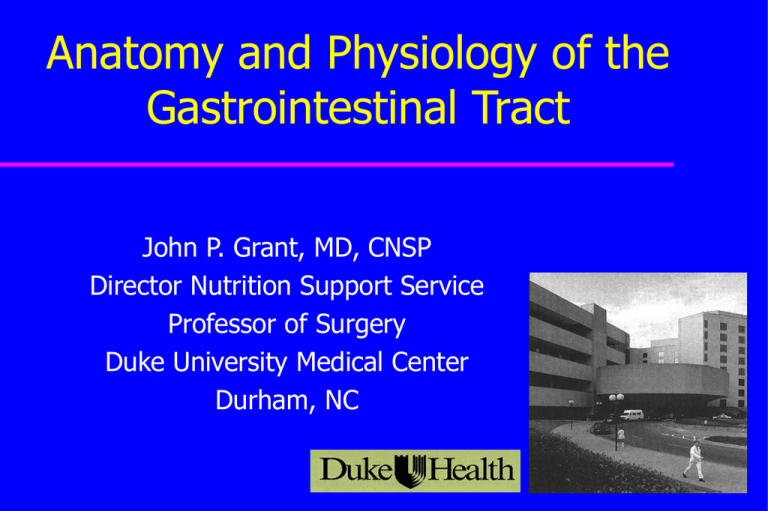 anatomy-and-physiology-of-the-gastrointestinal-tract