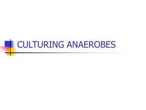 CULTURING ANAEROBES