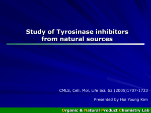 Tyrosinase inhibitors from natural and synthetic sources