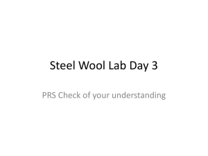 Steel Wool Lab Day 3