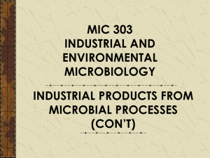 Industrial Product From Microbial Process