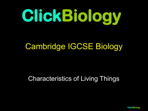 characteristics of living things presentation ppt2003