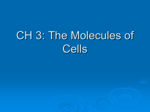 CH 3: The Molecules of Life