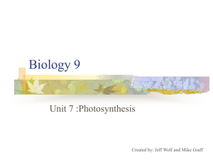 Biology_9_Unit_7_-_Photosynthesis