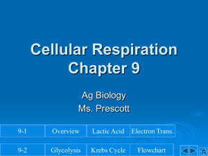 Cellular Respiration Notes - Ponderosa High School Agriculture