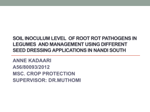 soil inoculum level of root rot pathogens in legumes and