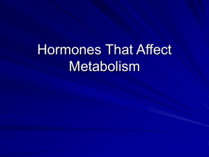 Hormones That Affect Metabolism