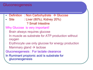 Glukoneogenesis
